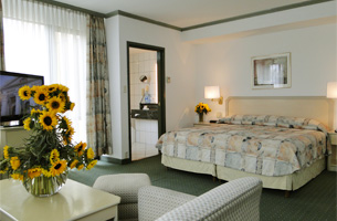 Residence Suite